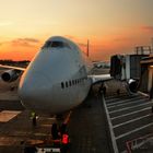 Boeing 747-8