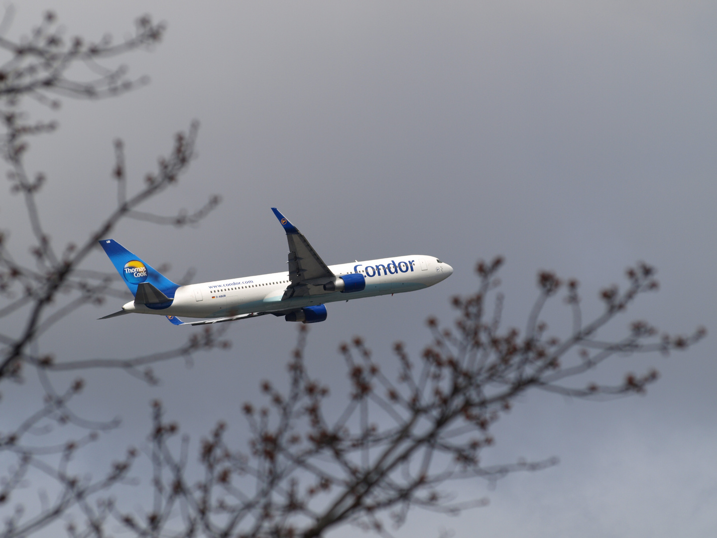 Boeing 767 von Condor (D-ABUB) kurz nach dem Takeoff in Frankfurt