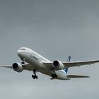 Boeing 787-8 aka Dreamliner