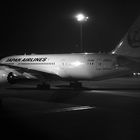 Boeing 787-8 der JAL