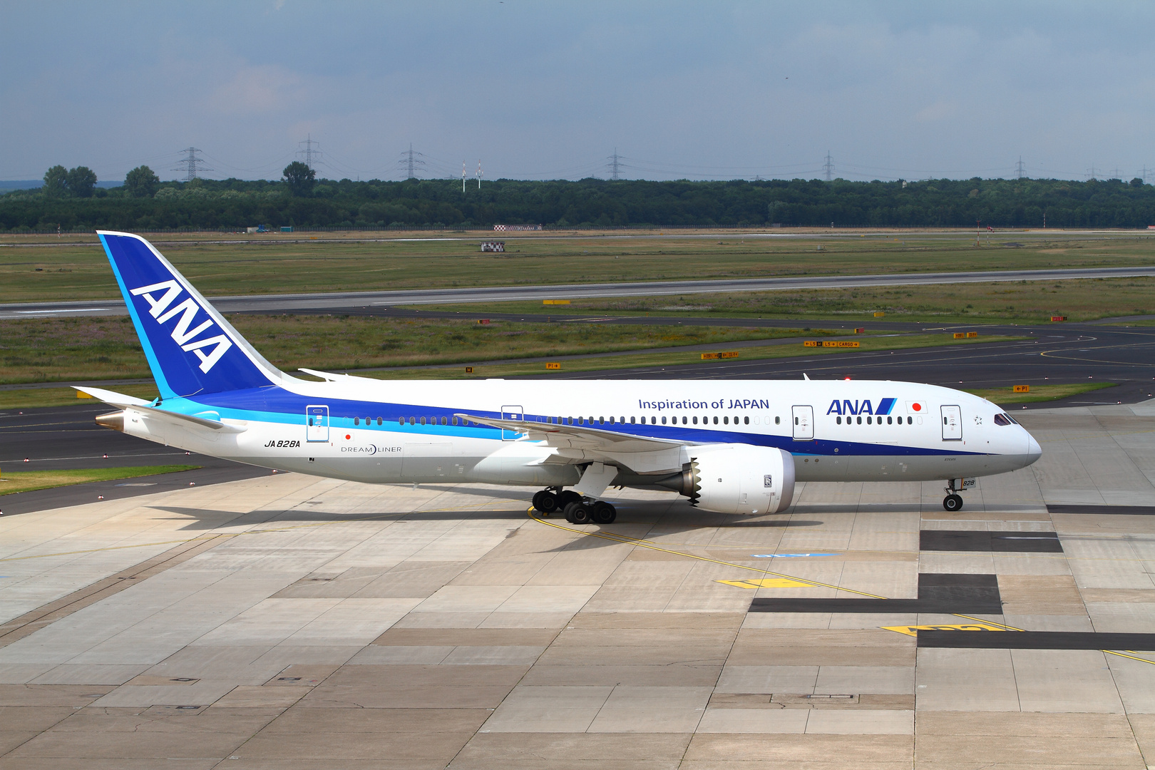 Boeing 787-8 Dreamliner