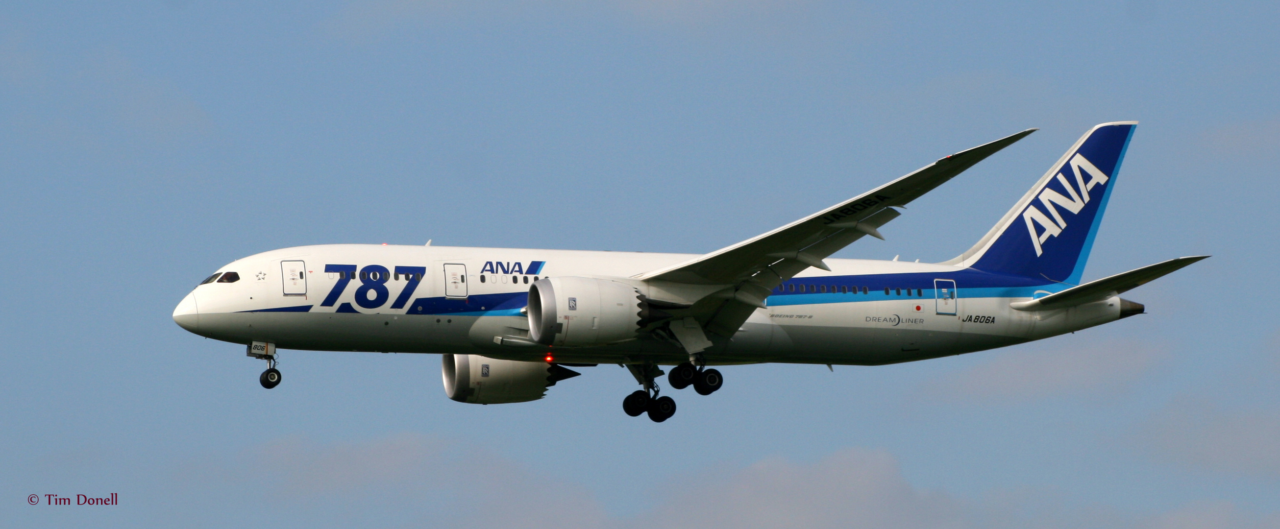 Boeing 787-8 (JA806A) All Nippon Airways