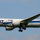 Boeing 787-8 (JA806A) All Nippon Airways