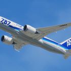 Boeing 787 ANA