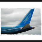 Boeing 787...3