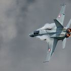 Boeing F/A-18 Hornet