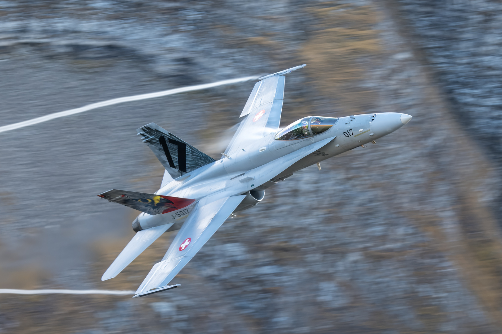 Boeing F/A-18 Hornet (Swiss Army)