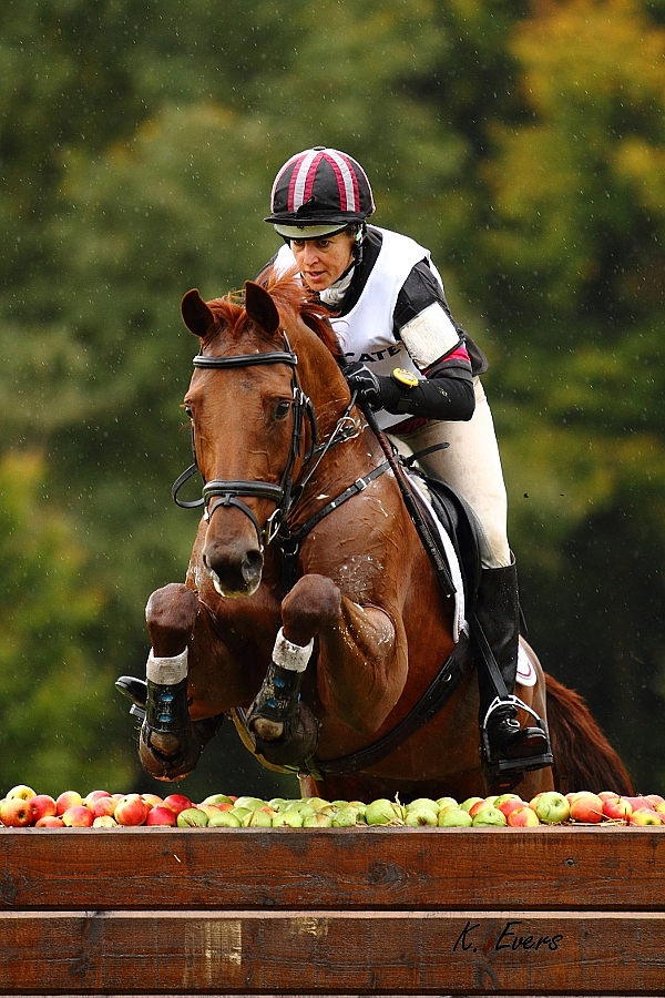 boekelo military 2012