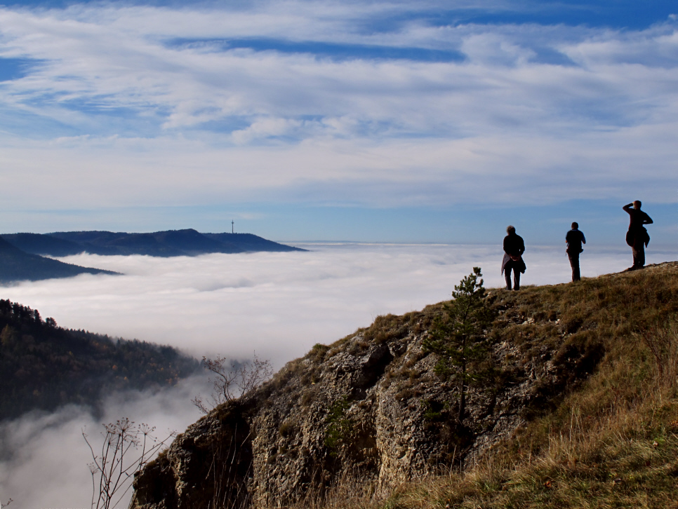 Böllat 6. November 2011