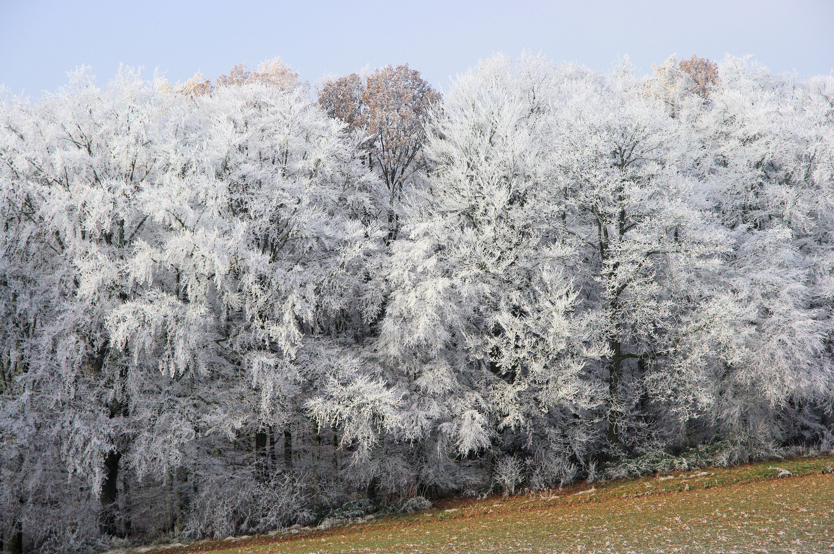 Böllsteiner Kristallwald