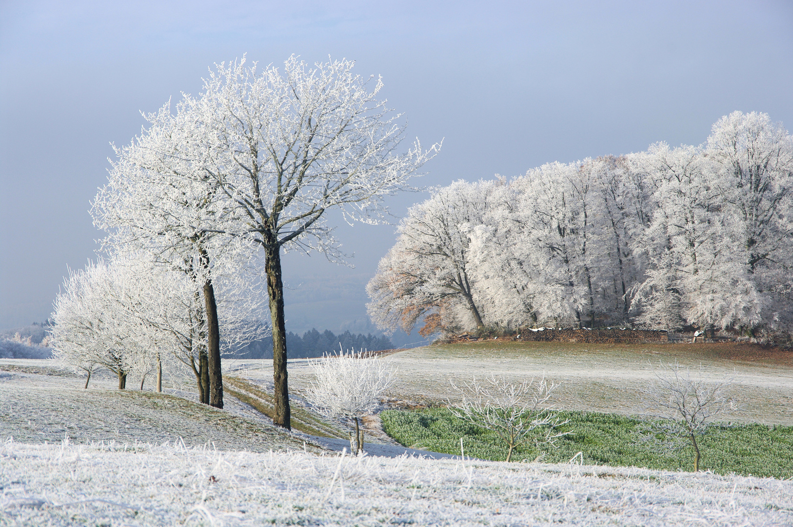 Böllsteiner Winterlandschaft