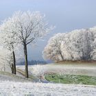 Böllsteiner Winterlandschaft