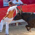 Boer de Occitane aprés Bastien Four, Trophée des As, Le Grau du Roi