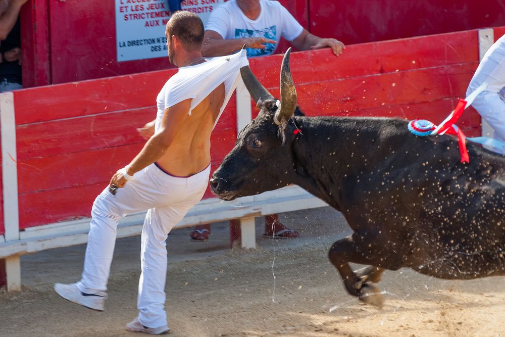 Boer de Occitane aprés Bastien Four, Trophée des As, Le Grau du Roi