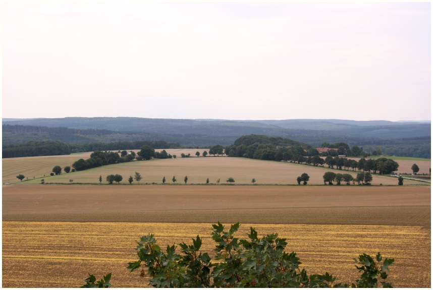 Bördeblick