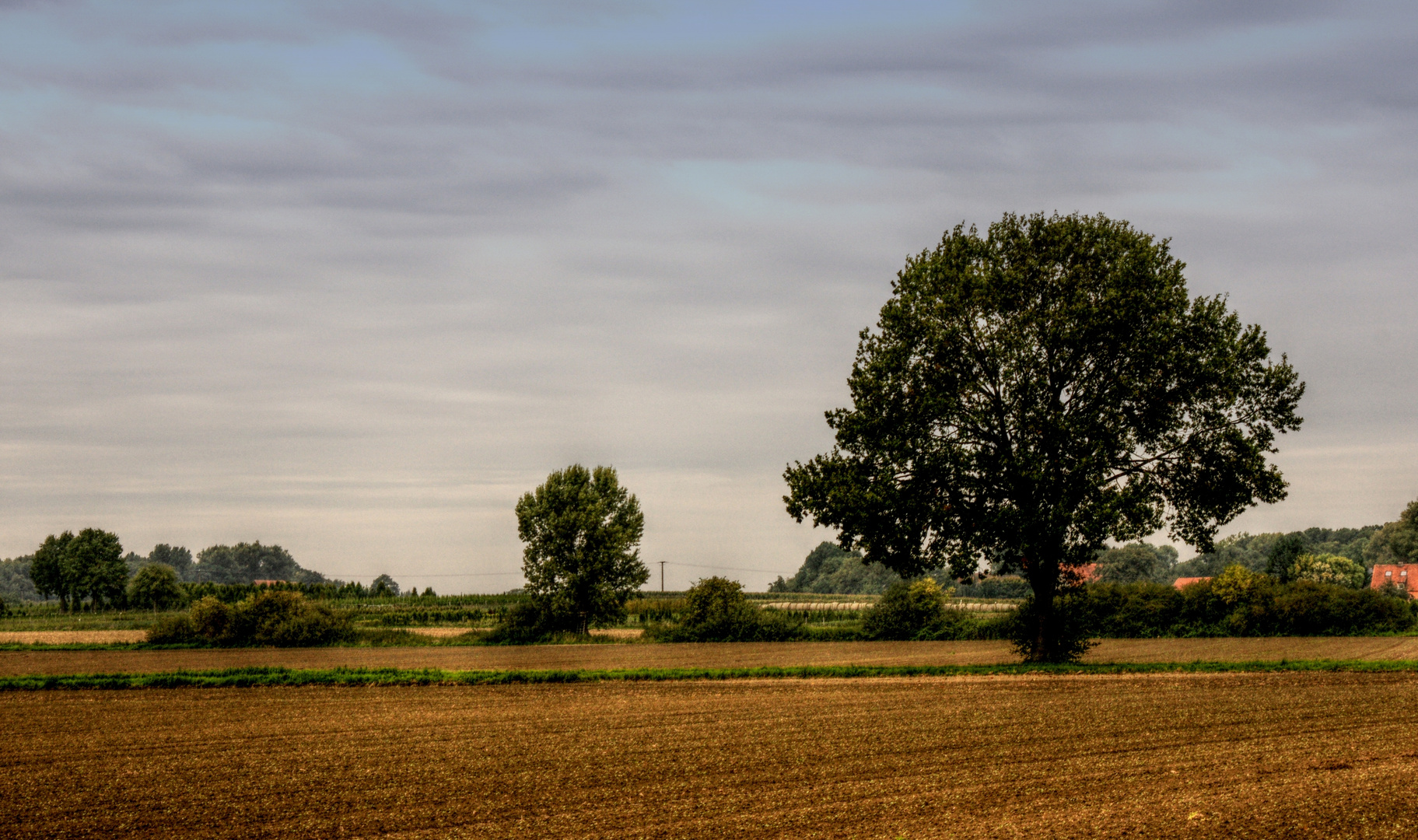 Bördelandschaft