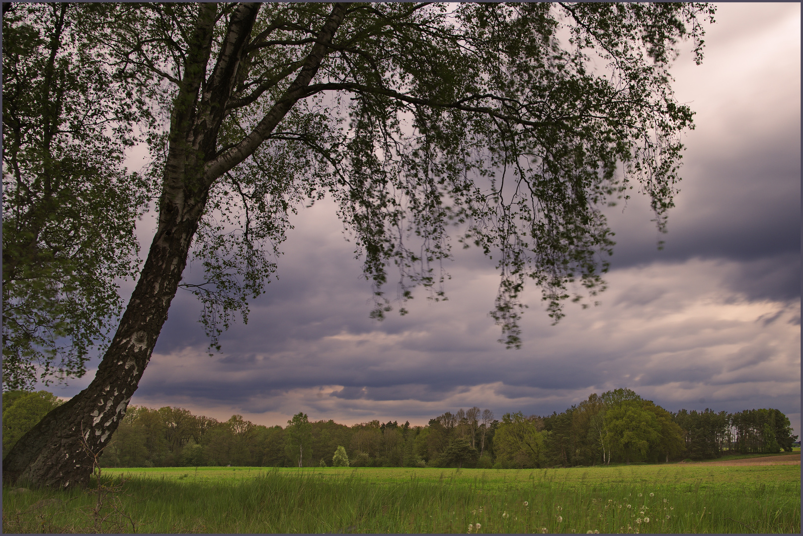 Böse Wolken über der Lüneburger Heide...