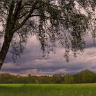 Böse Wolken über der Lüneburger Heide...