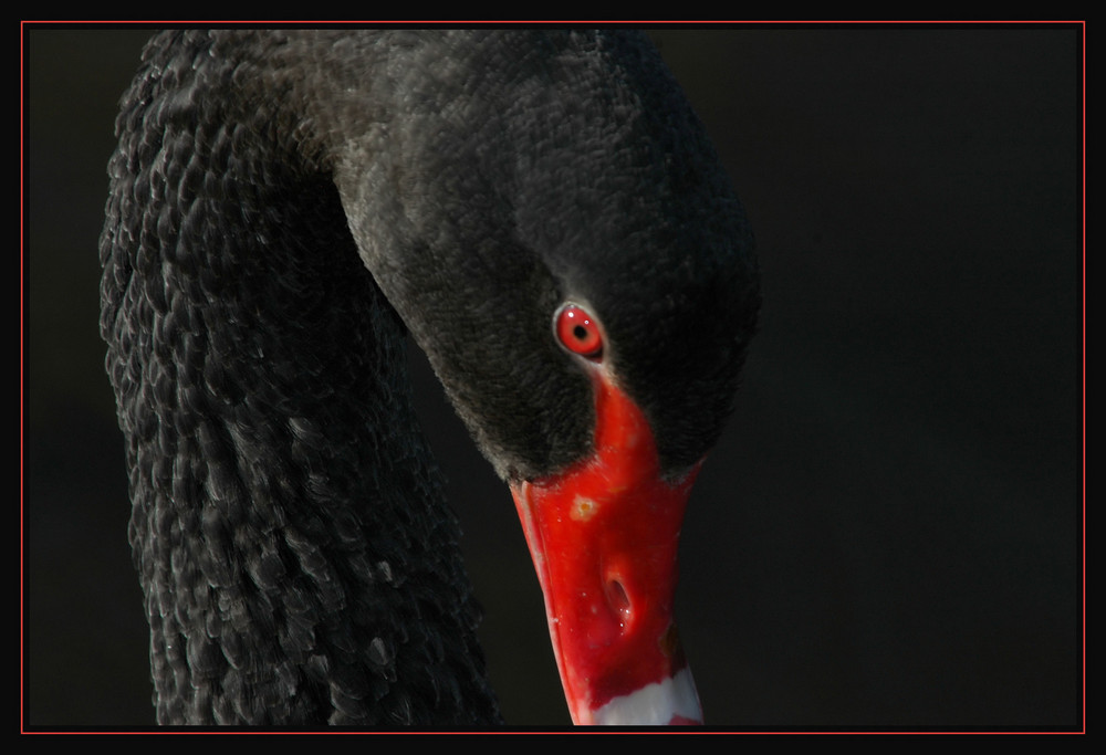 böser Blick