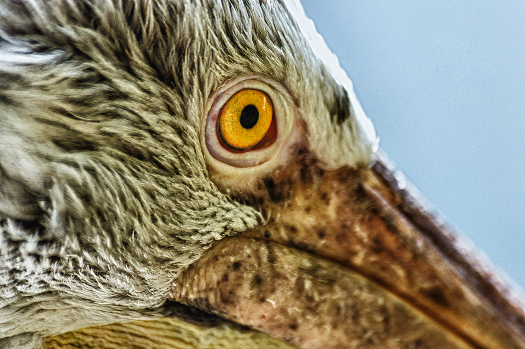 Böser Blick