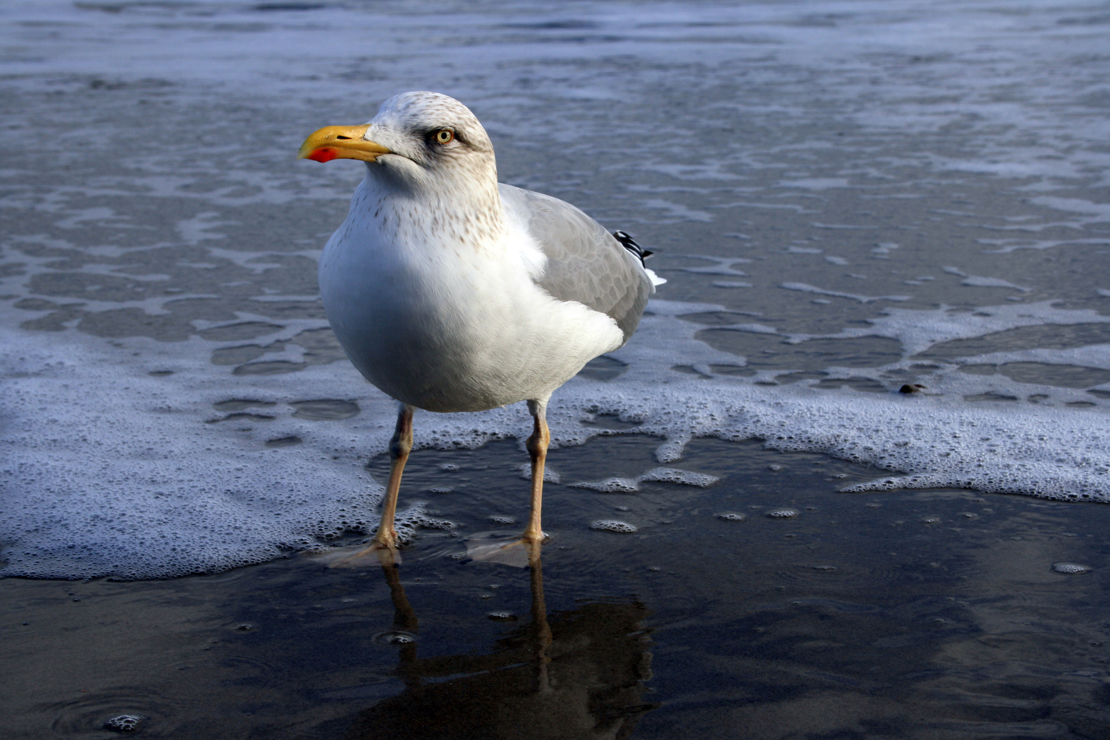 Böser Blick