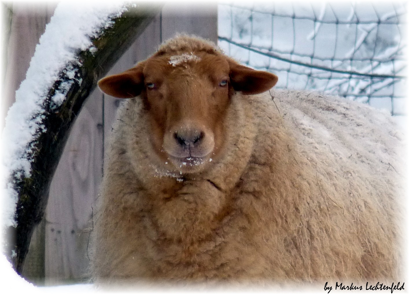 Böser Blick