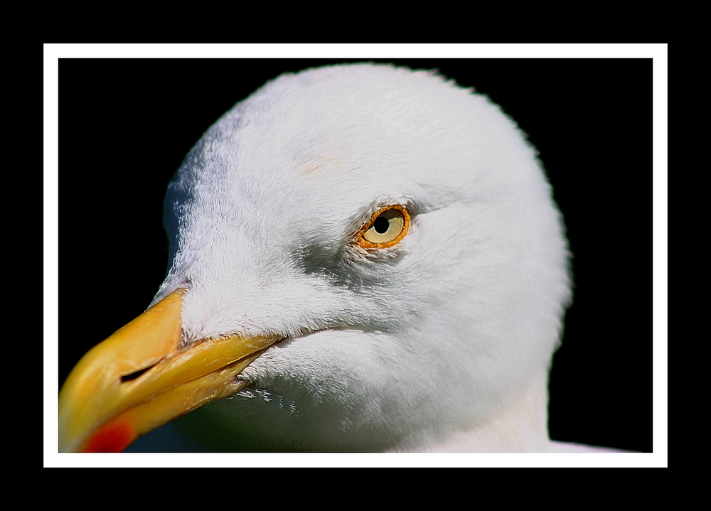 Böser Blick