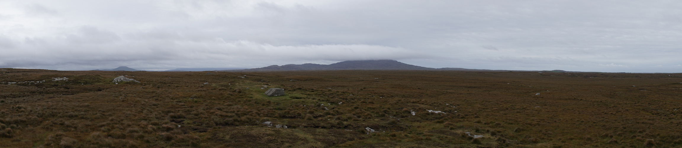 Bog panorama