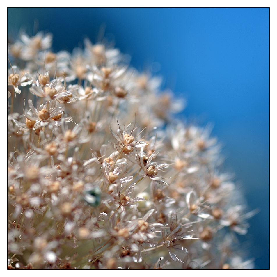 [ boga ] Foto & Bild mystische orte, specials, boga Bilder auf