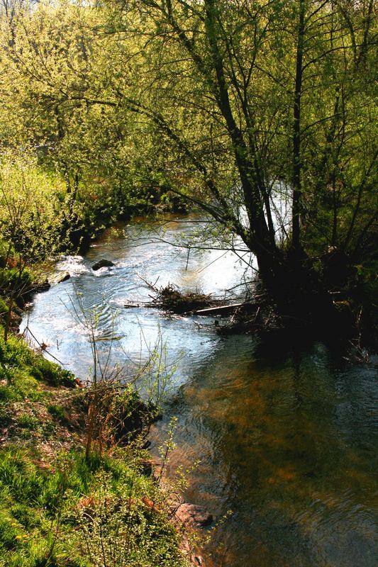 Bogenbach - Deggendorf