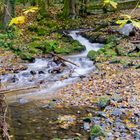 Bogenbach im bayerischen Wald