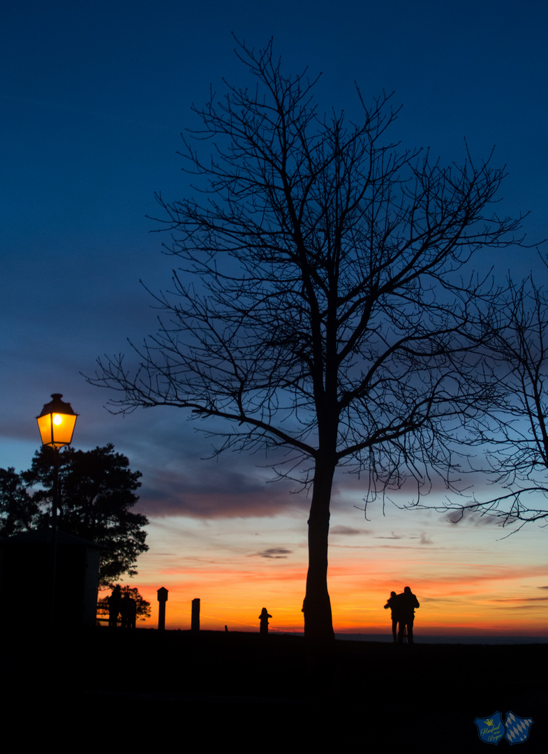 Bogenberg - Abendstunde