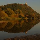 Bogenberg im Abendlicht