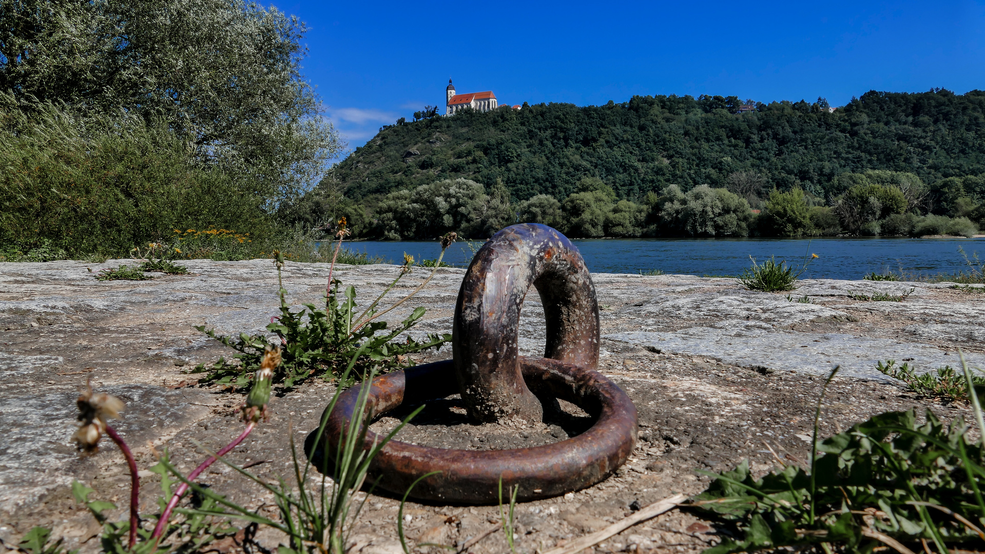 bogenberg mit wallfahrtskirche mariä himmelfahrt hoch über der donau