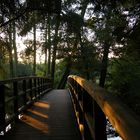 Bogenbrücke an den de Witt Seen bei Leuth in der Abendsonne