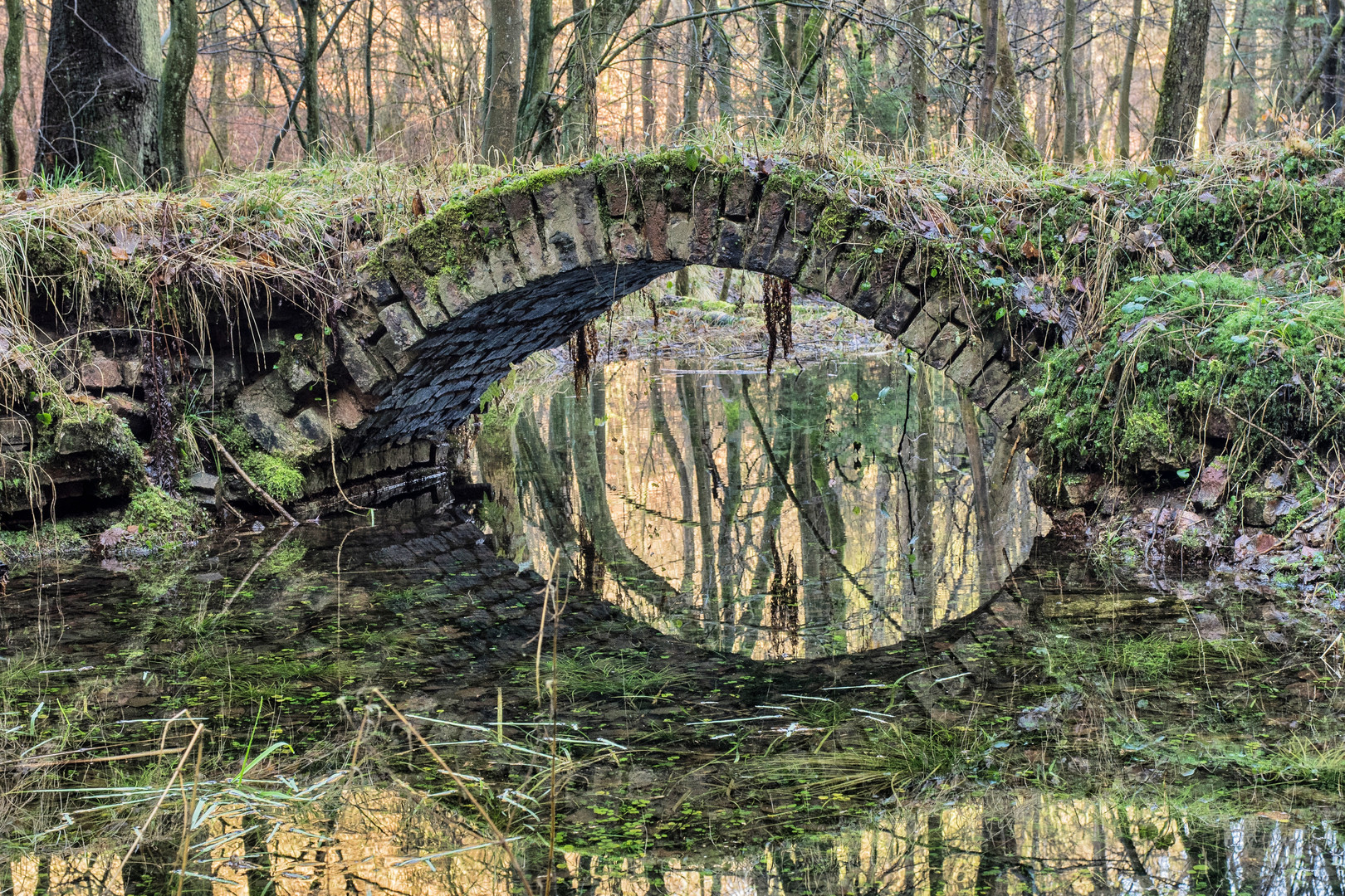 Bogenbrücke