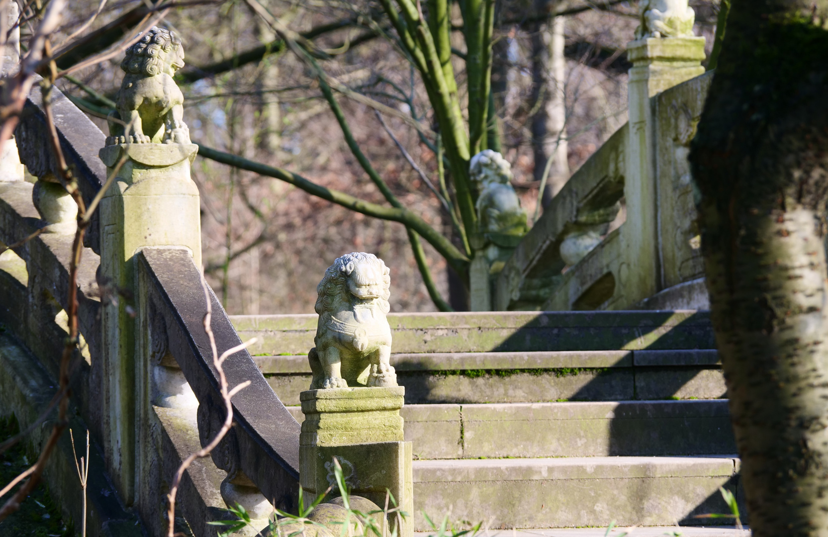 Bogenbrücke im Chinagarten Duisburgs