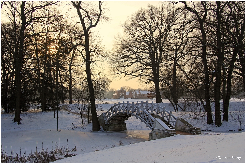 Bogenbrücke im Luisium