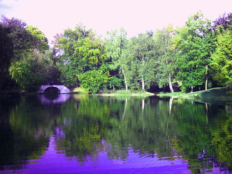 Bogenbrücke in Senftenberg am Schlossteich