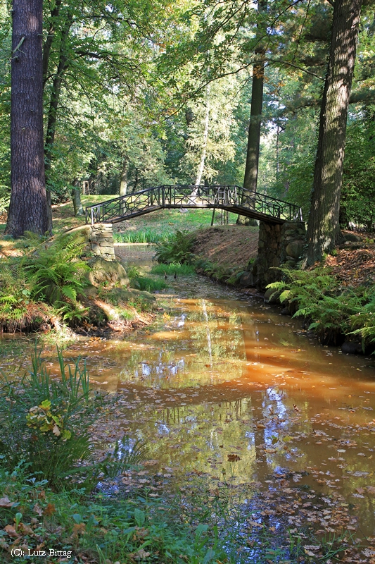 Bogenbrucke Zum Englisch Chinesischen Garten Oranienbaum Foto