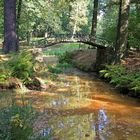 Bogenbrücke zum Englisch-chinesischen Garten Oranienbaum