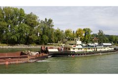 Bogenschieben auf der Donau