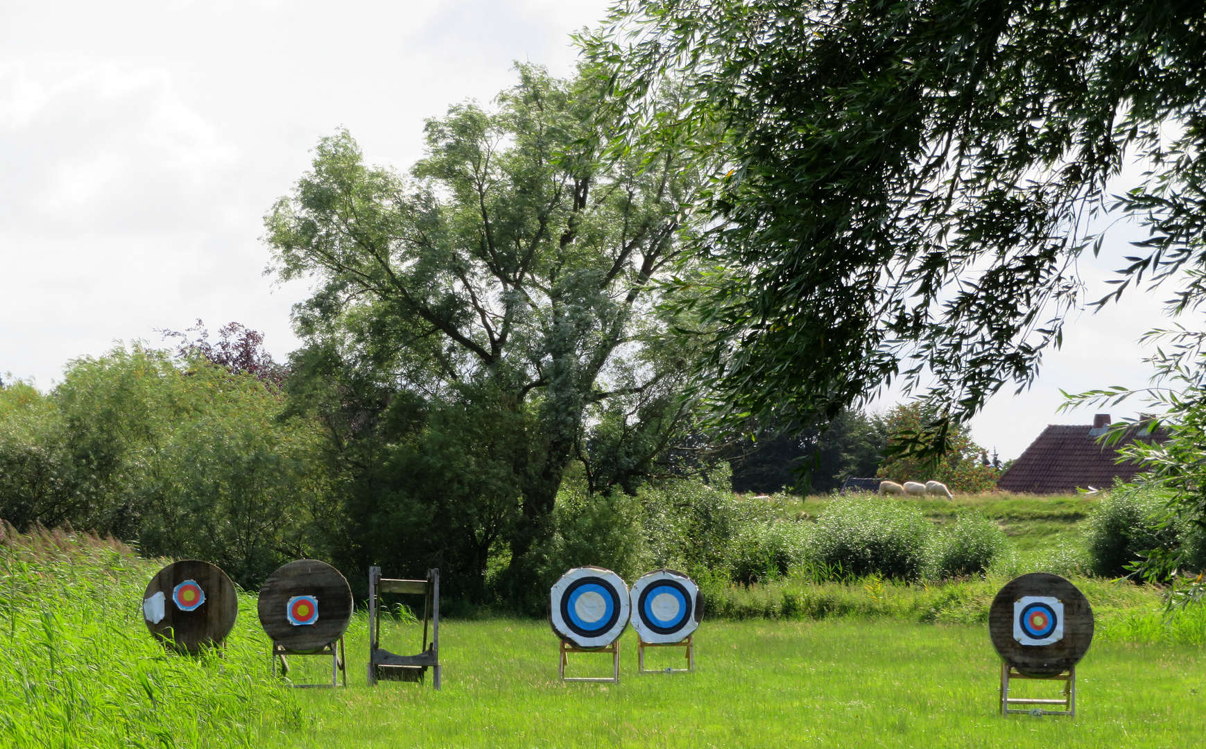 Bogenschießen Foto & Bild | dokumentation, landschaften, sommer