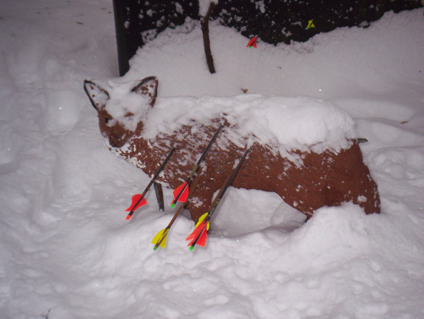 Bogenschießen im Winter