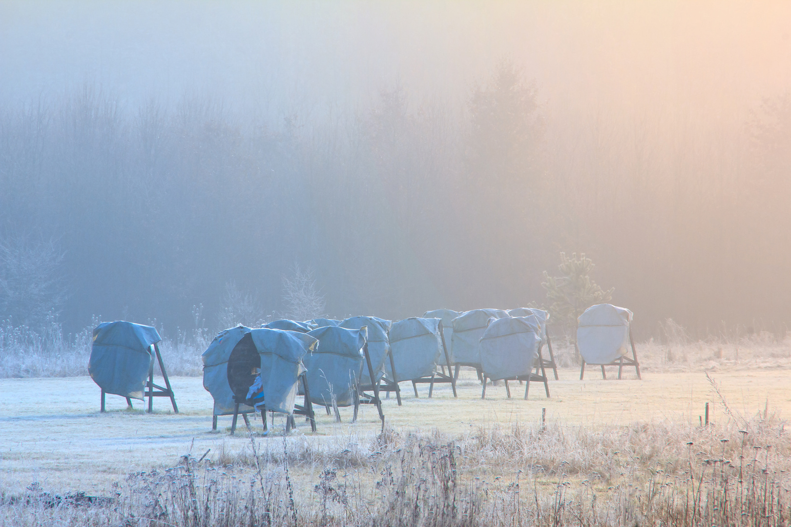 Bogenschießen - Wenn der Winter kommt / Archery - When winter comes