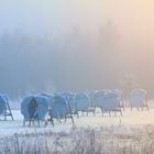 Bogenschießen - Wenn der Winter kommt / Archery - When winter comes