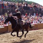 Bogenschütze im Galopp