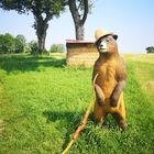 Bogenschützen gemeinsam gegen Brustkrebs