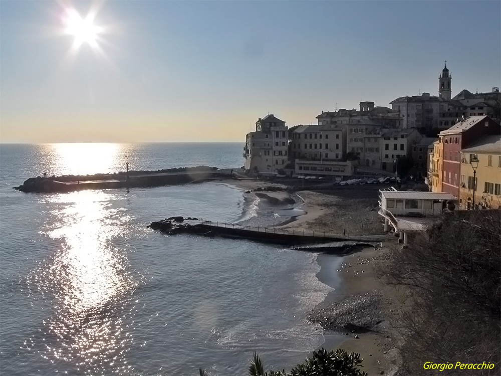 Bogliasco