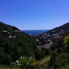 Bogliasco (Genova)